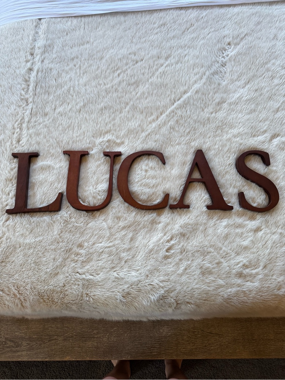 Pottery Barn Kids Dark Brown Wooden Letters spelling LUCAS